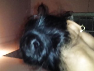 Гра американський дракон порно, індійські дорослі дами і хлопчики порно